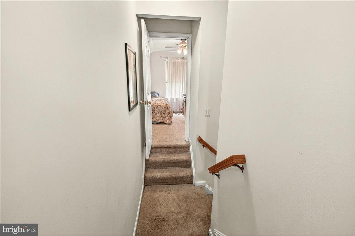 3847 Holly Drive photo 23