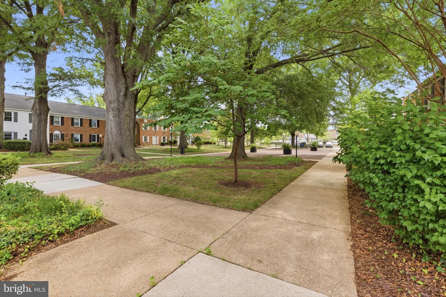 8 Georgetown Court #1-8 photo 19
