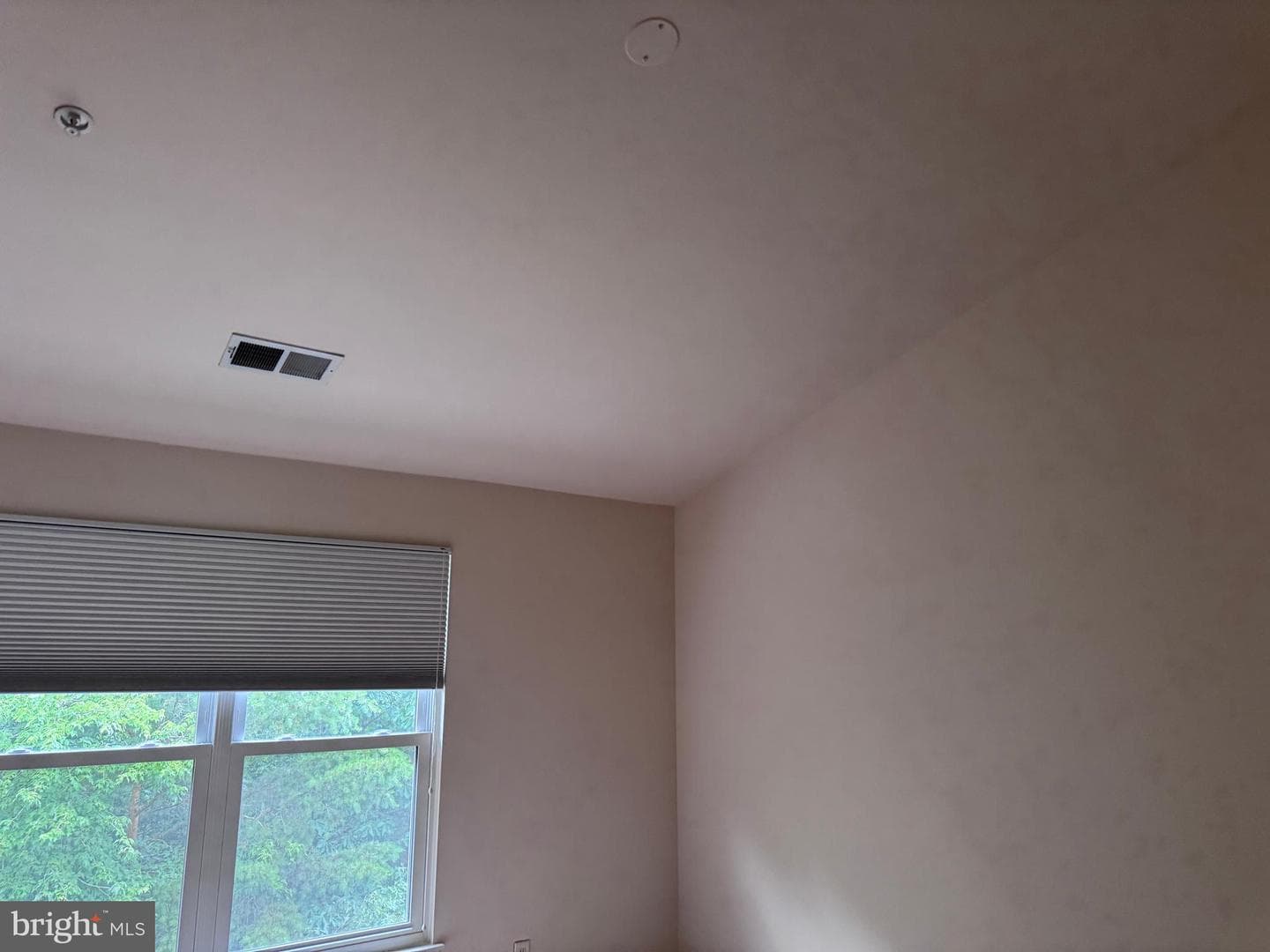2611 Cedar Elm Drive photo 22