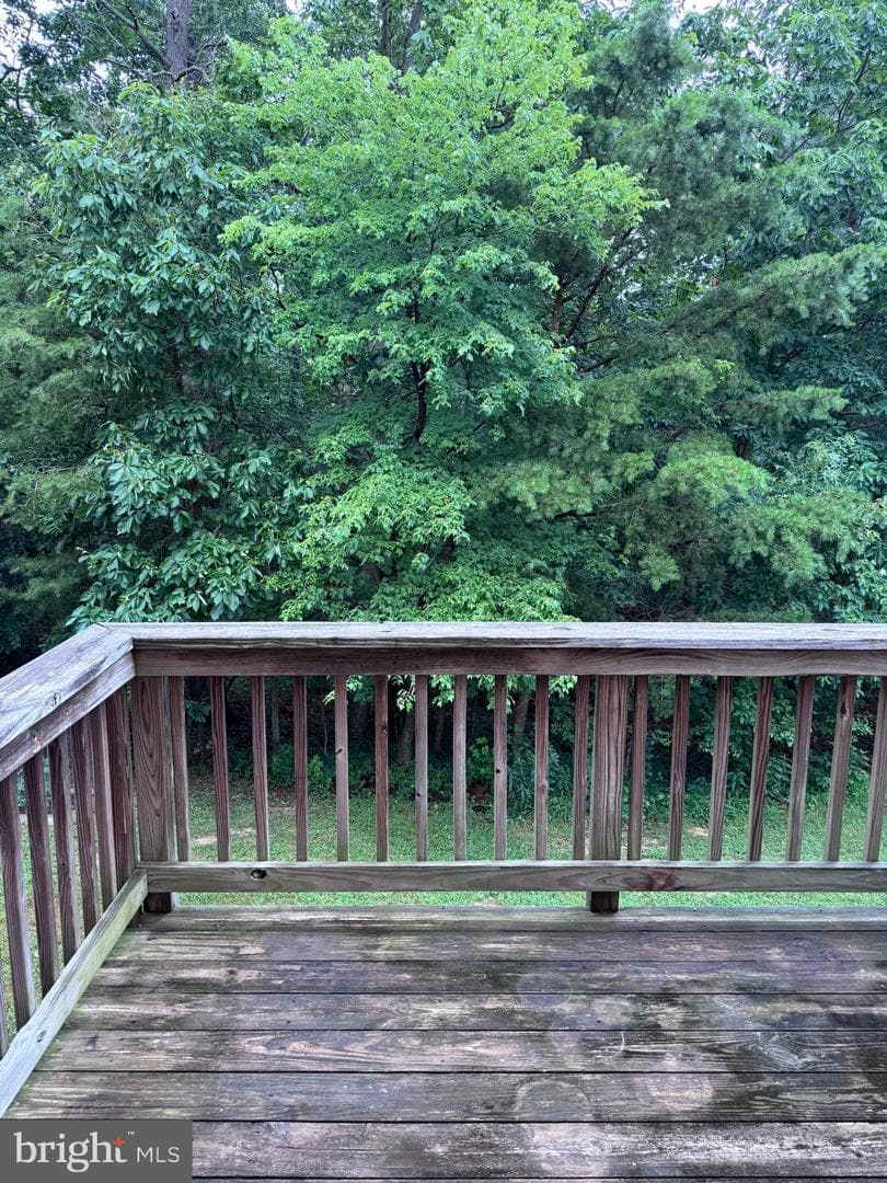 2611 Cedar Elm Drive photo 33