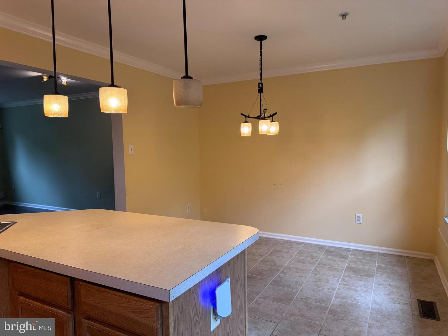 2611 Cedar Elm Drive photo 7