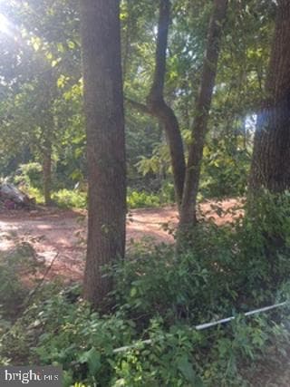 7800 W Shore Road photo 3