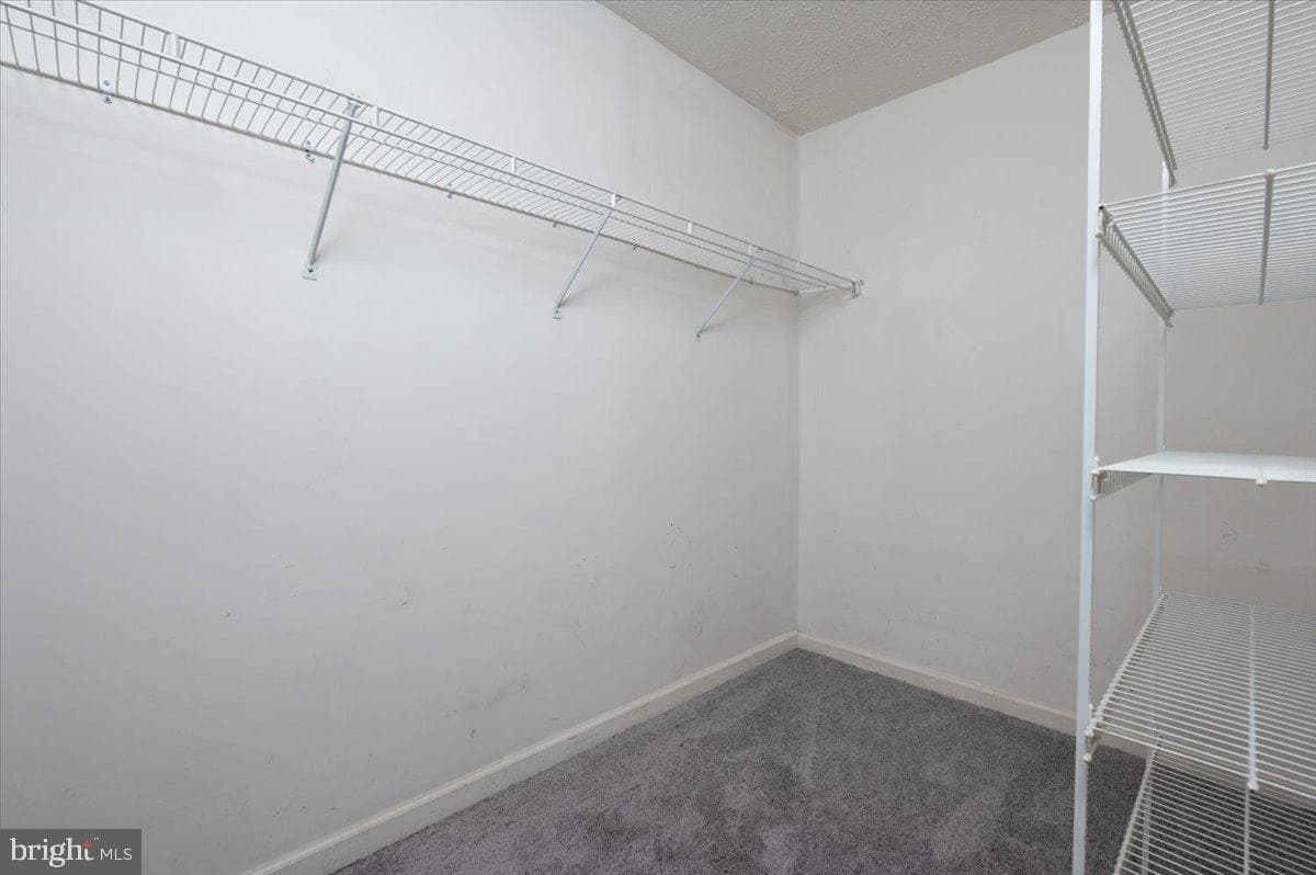 963 Chestnut Manor Court photo 16