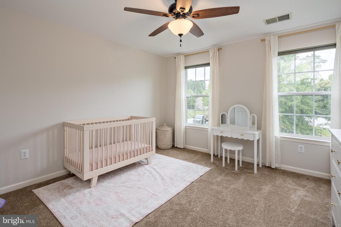 318 Wild Willow Way photo 39