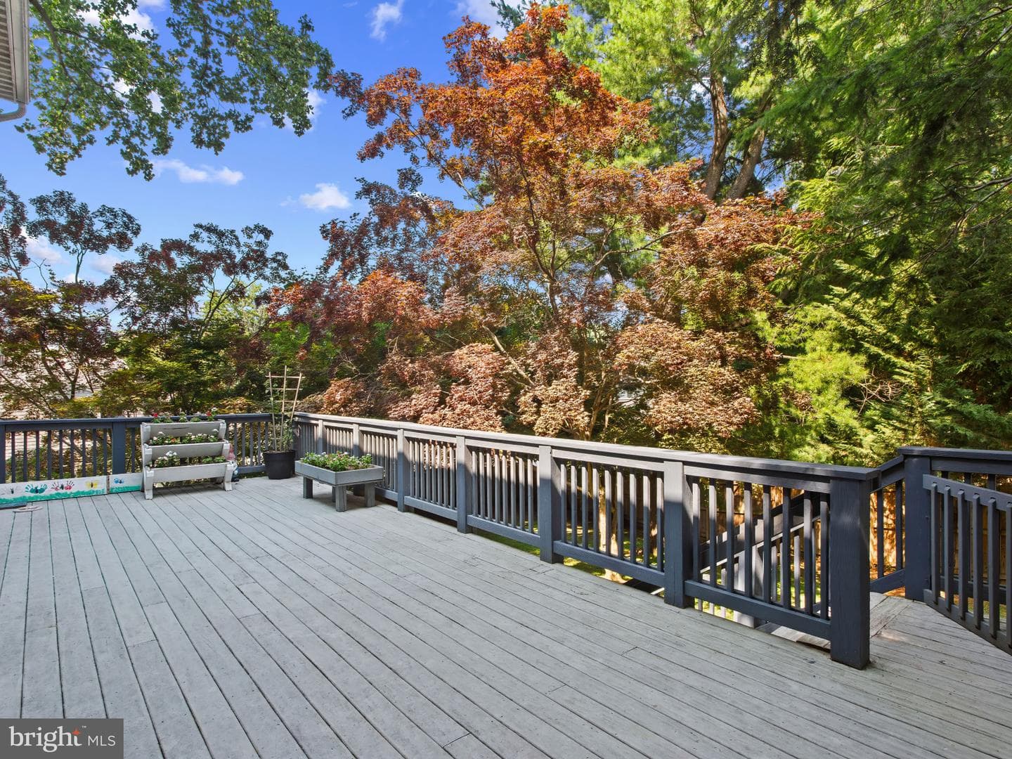 1153 Hampton Road photo 28
