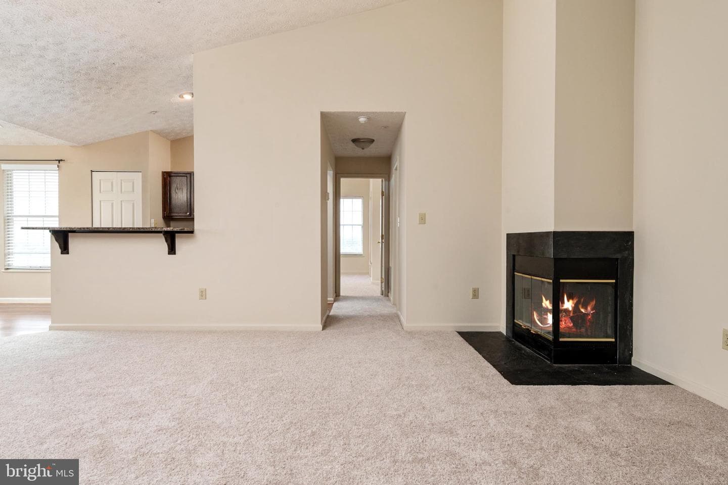 703 Orchard Overlook #303 photo 11