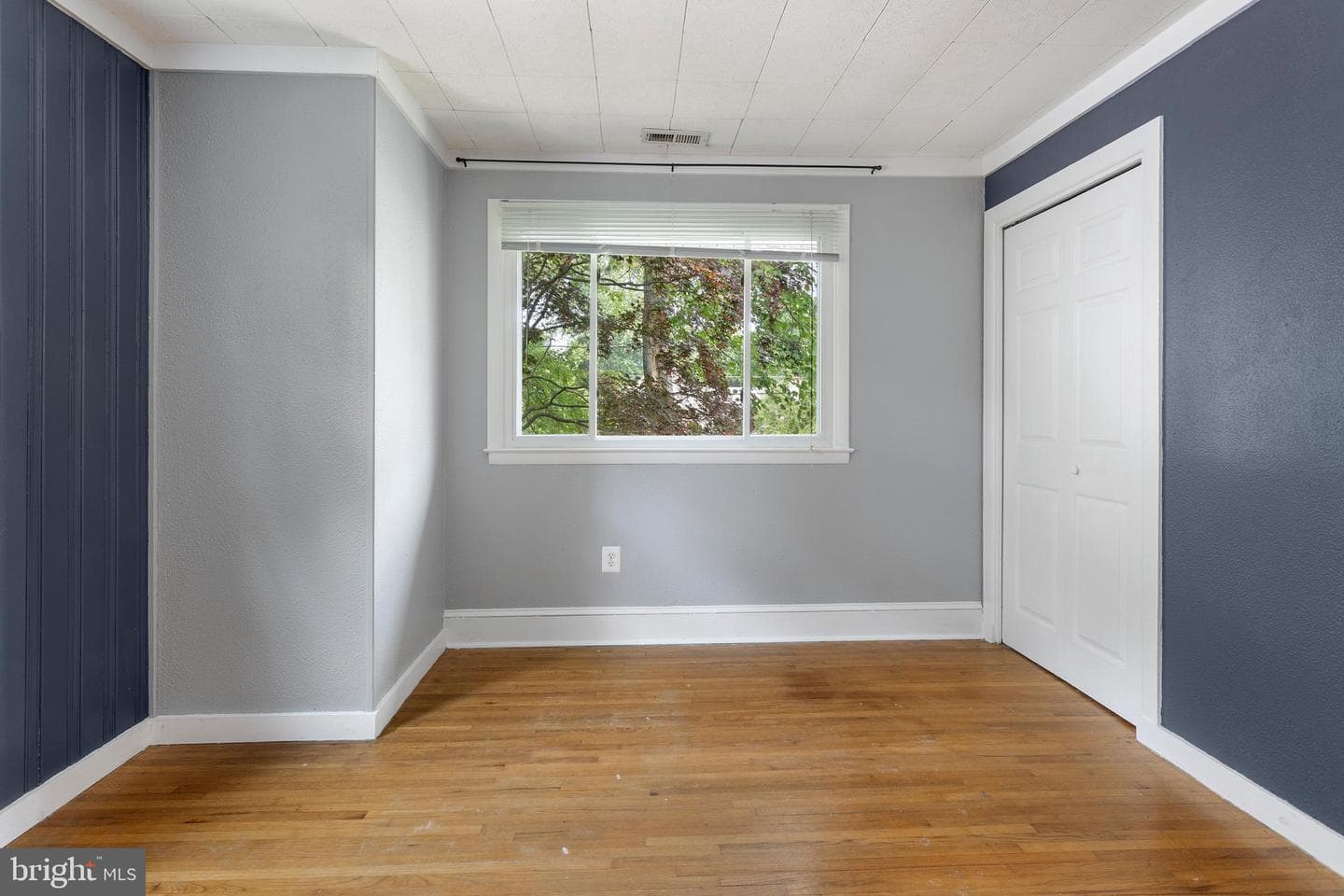1099 Linden Tree Drive photo 24