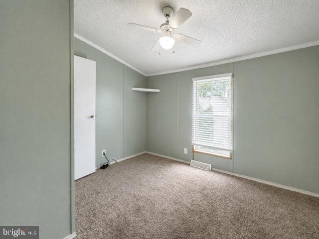 432 Dutch Drive photo 15