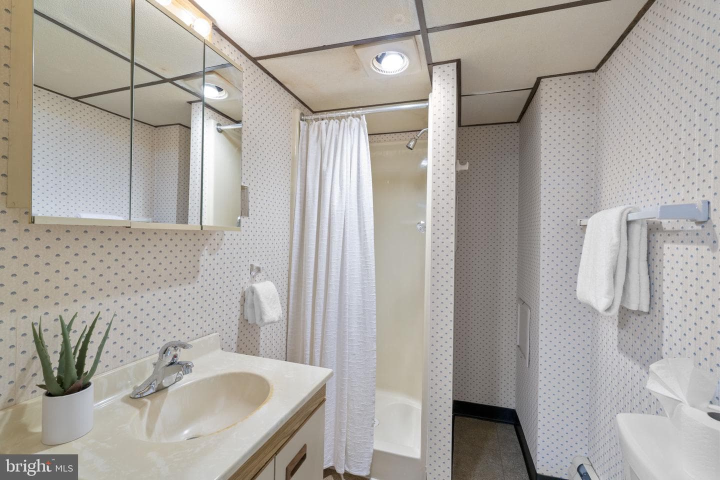 406 Catherine Avenue photo 39