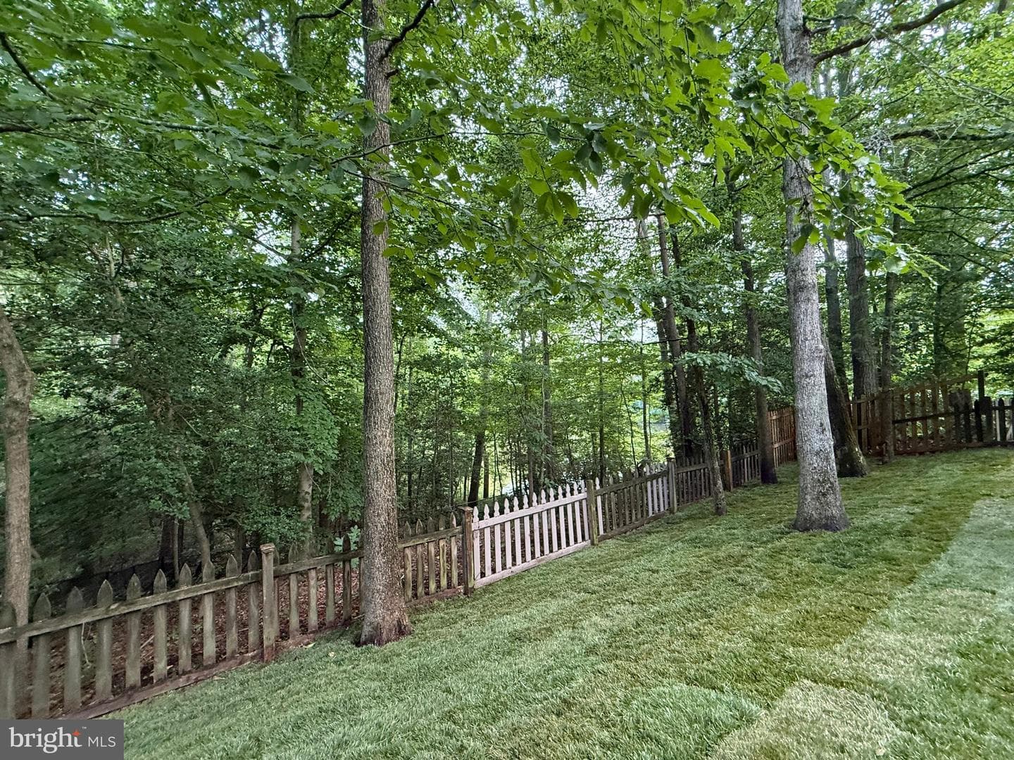 126 Gilbert Court photo 24