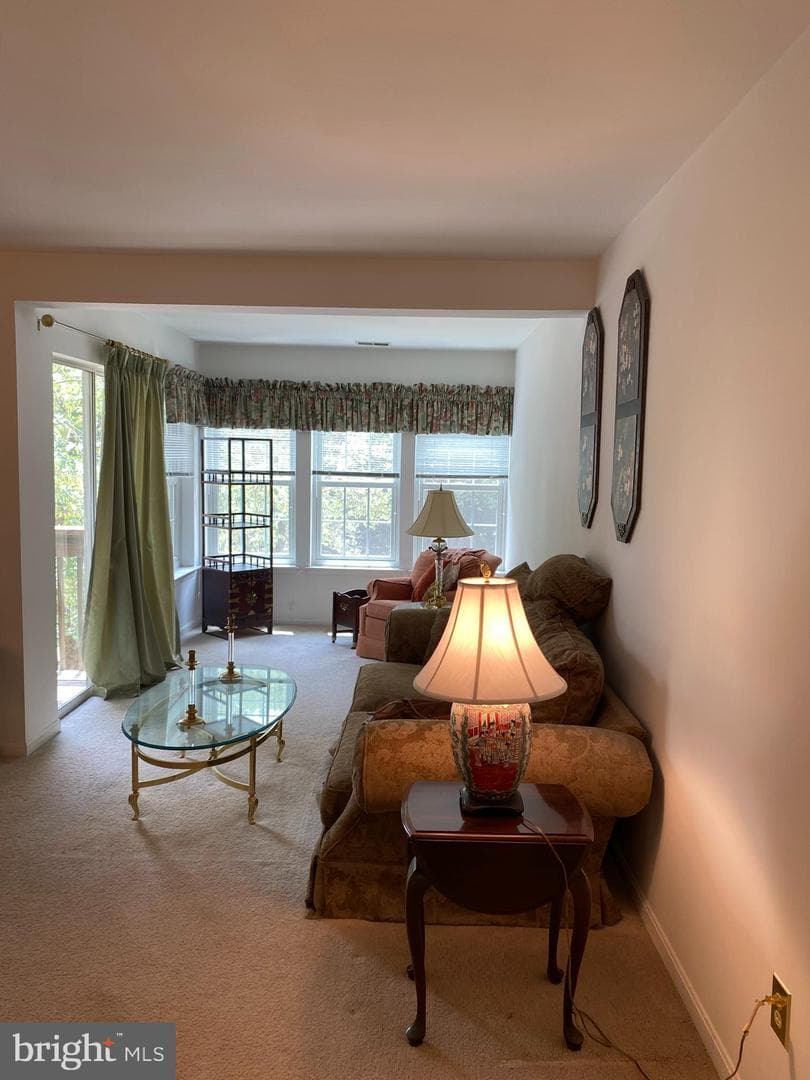 302 Juneberry Way #2d photo 10
