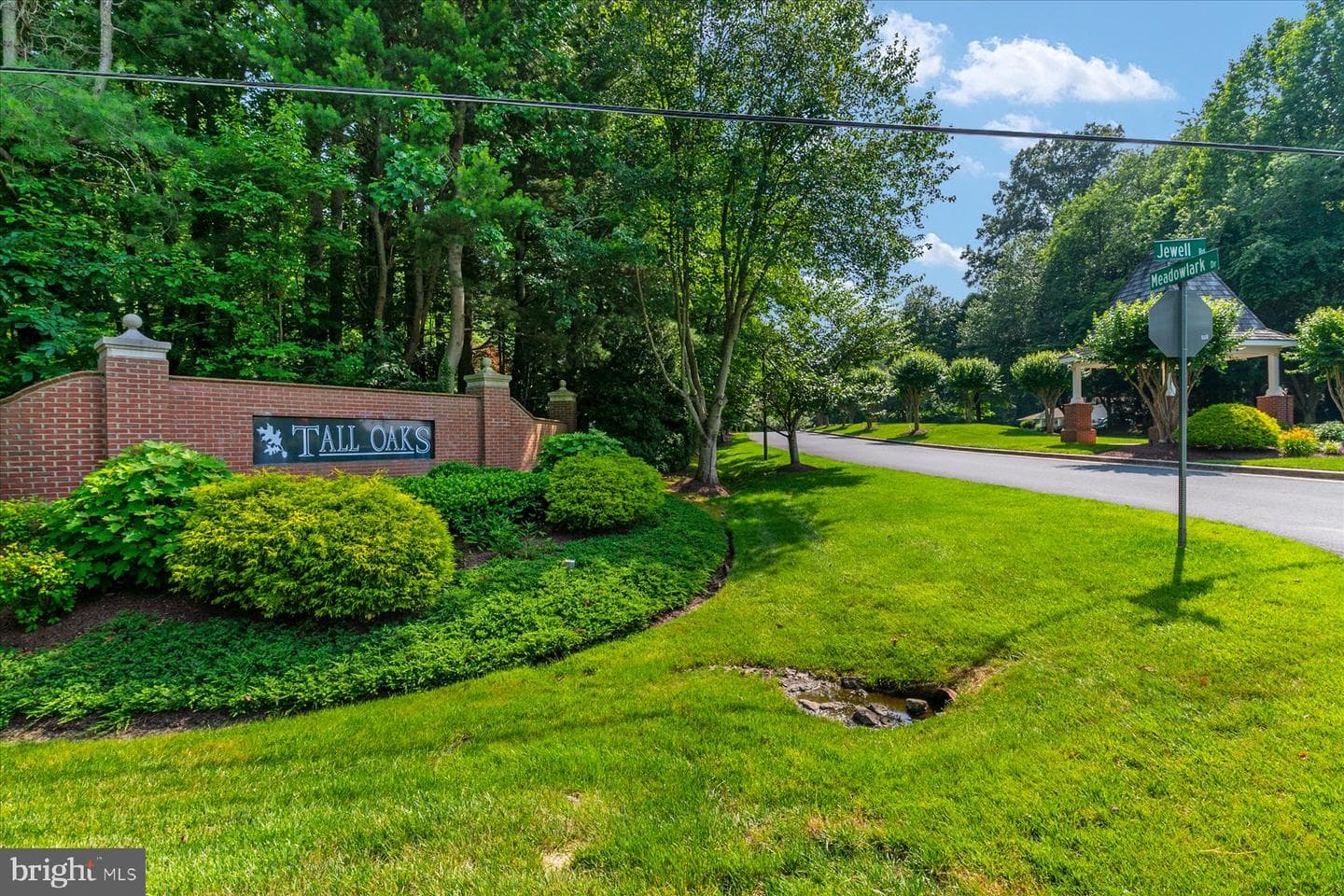6420 Meadowlark Drive photo 3