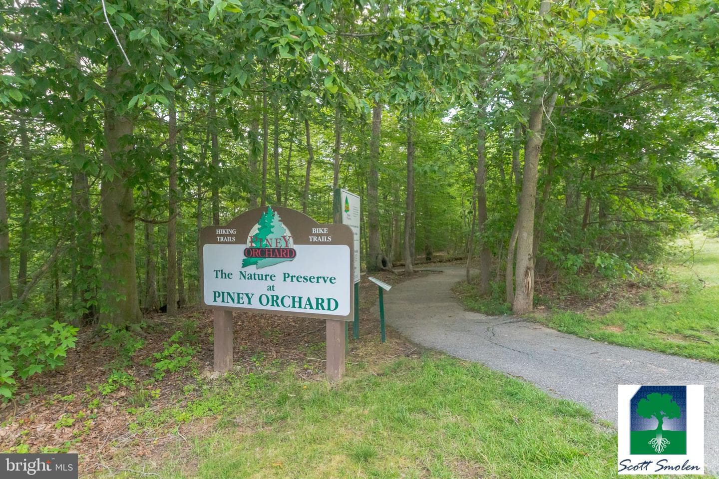 8703 Thornbrook Drive photo 36
