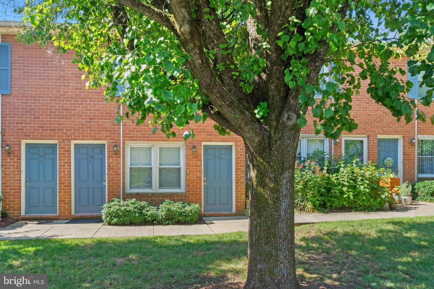 709 Glenwood Street #57 photo 22
