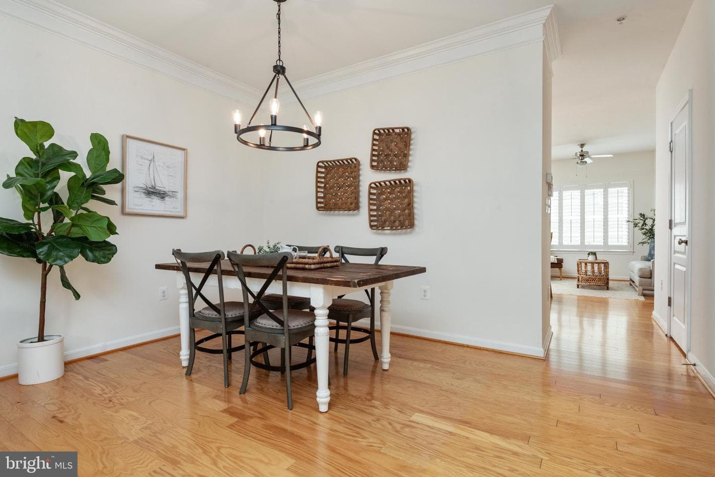 21 Boucher Place photo 7