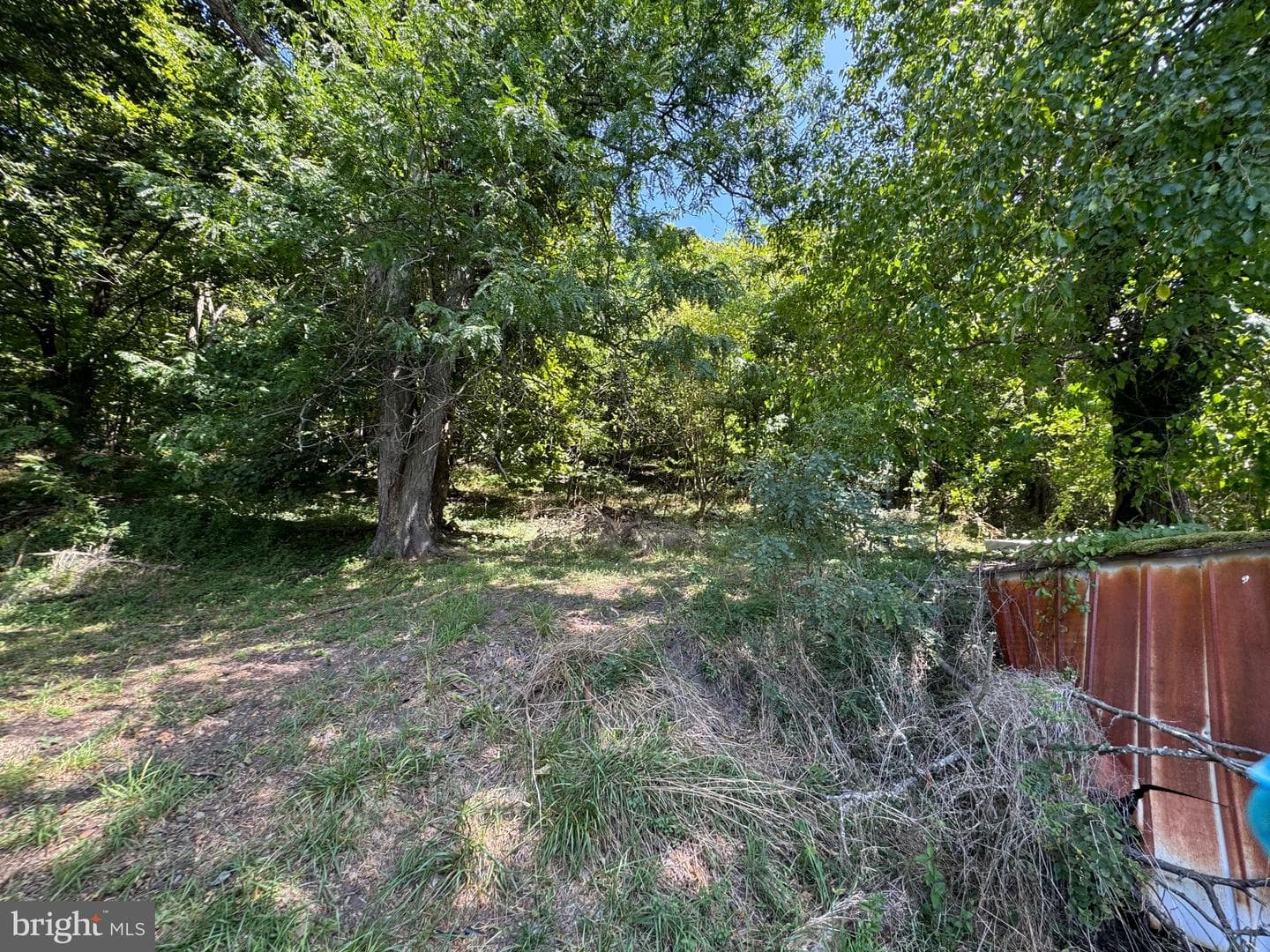 313 Independence Street photo 2
