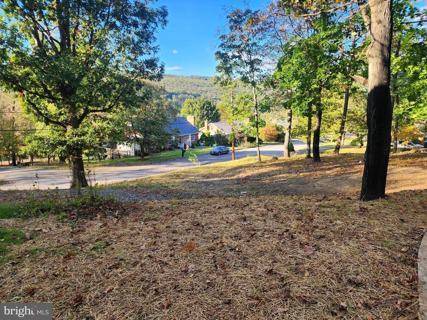 1016 Brown Avenue photo 12