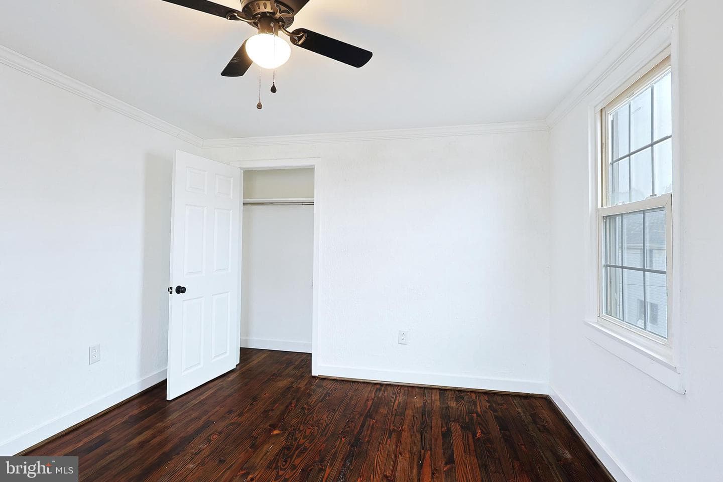 409 Springdale Street photo 51