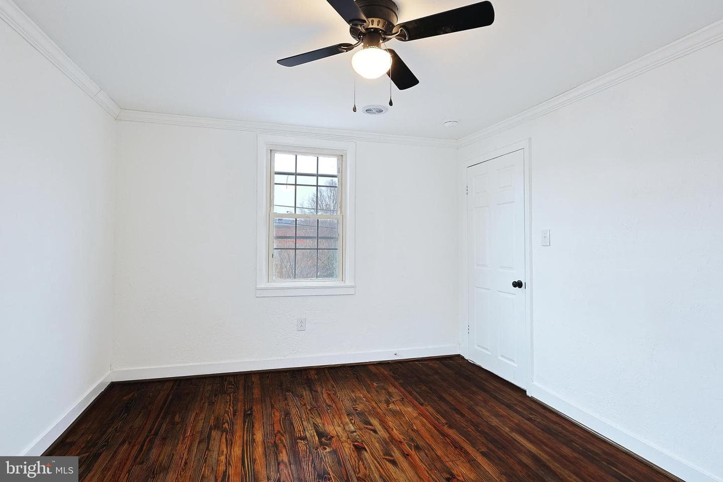 409 Springdale Street photo 52