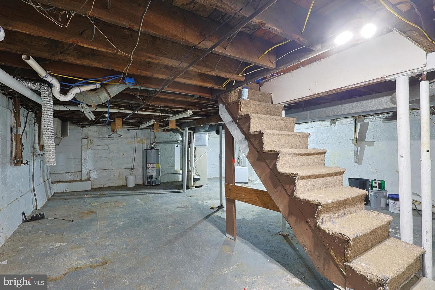 409 Springdale Street photo 53