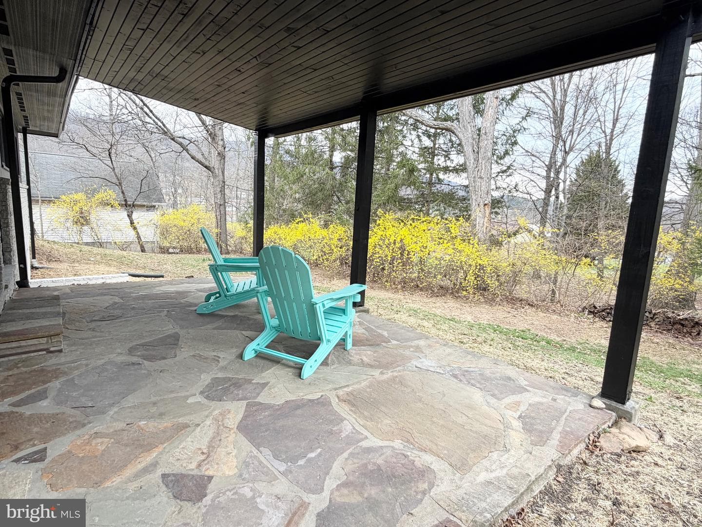 13 Warfield Place photo 32
