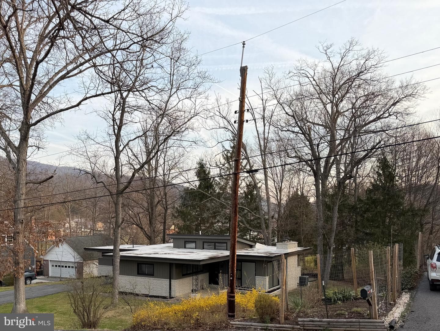13 Warfield Place photo 34