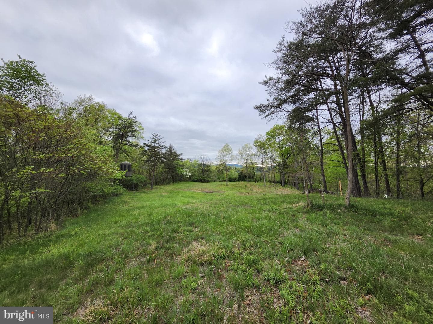 11900 Messick Road SE photo 57