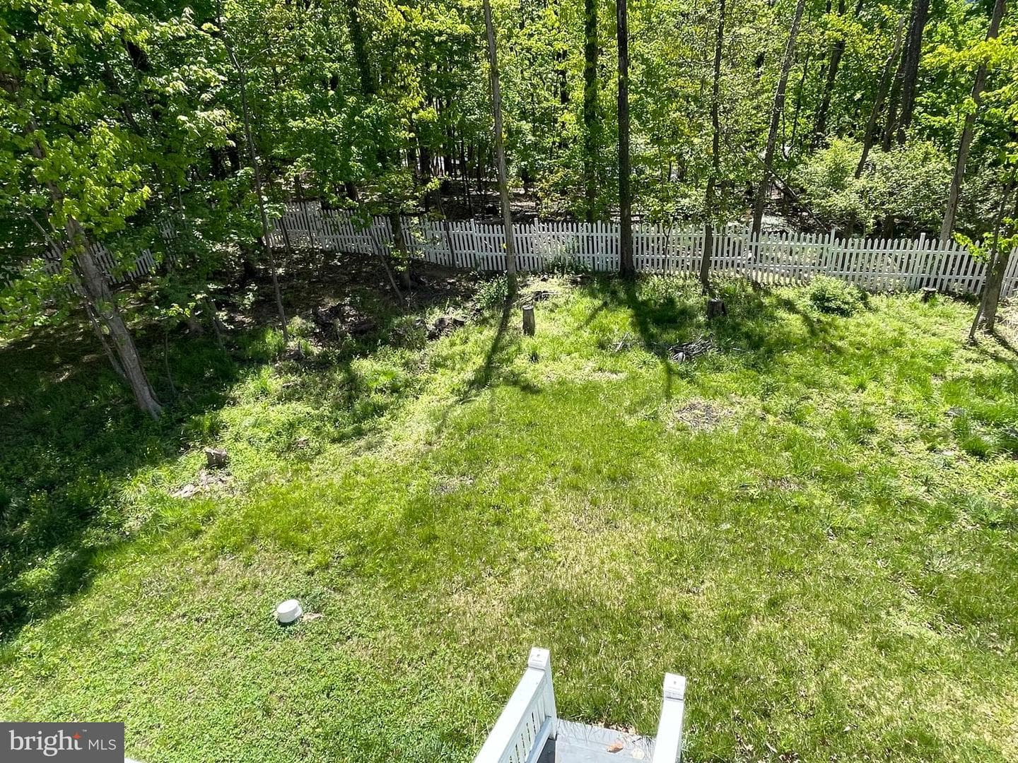 1044 Longwood Avenue photo 55