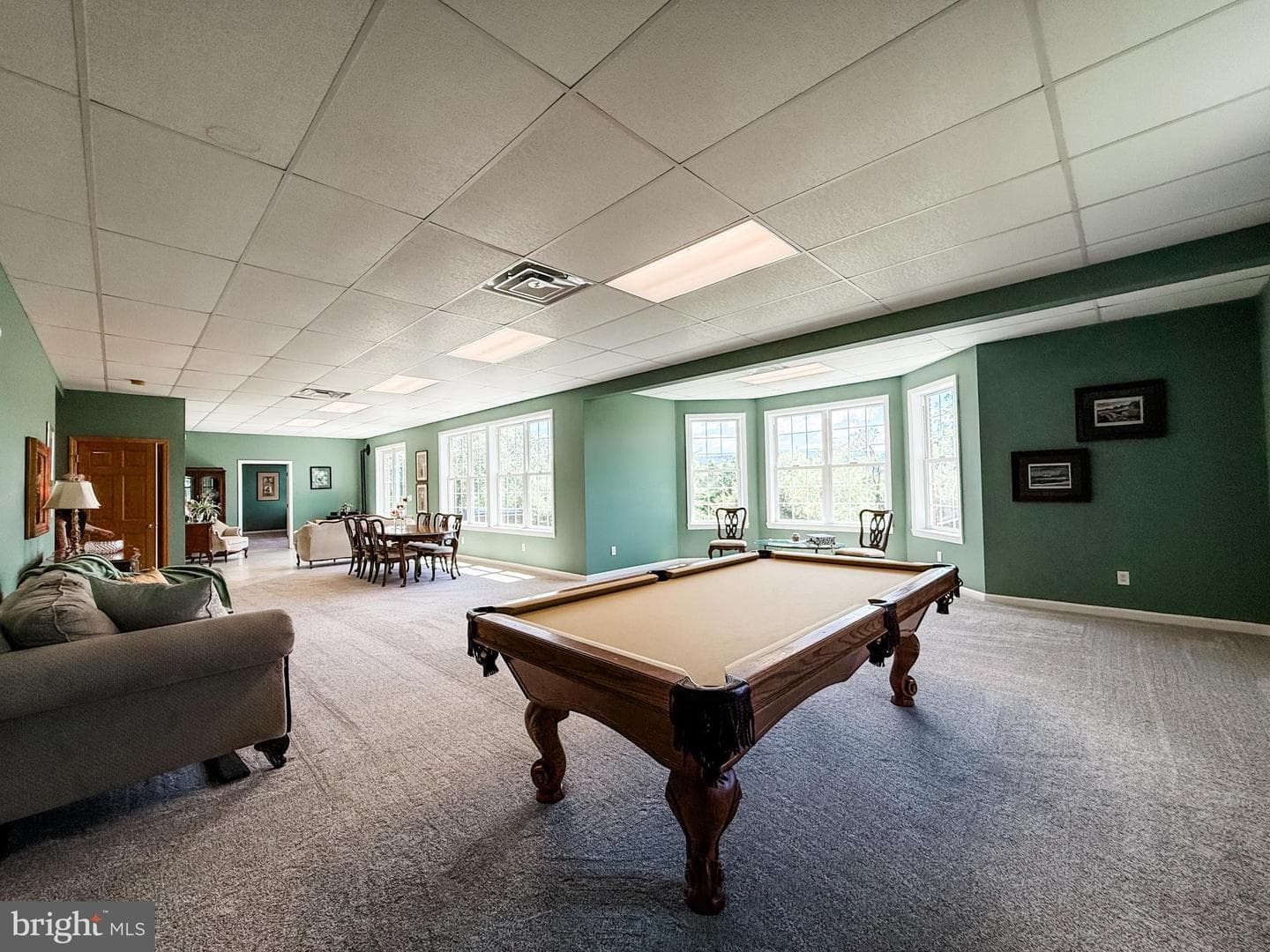 10002 Carrington Court photo 48