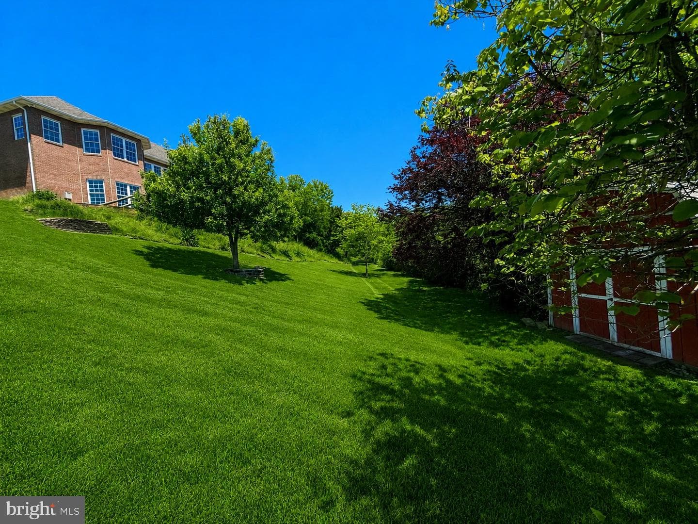 10002 Carrington Court photo 63