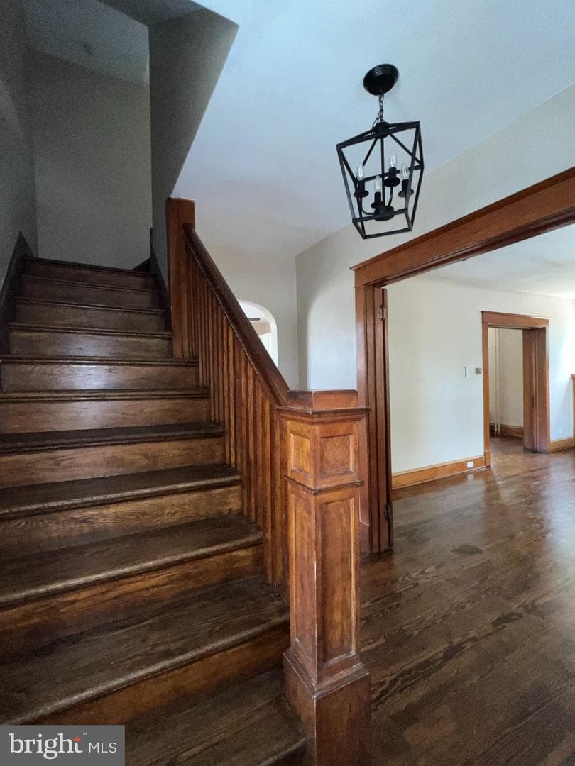 307 Helen Street photo 34