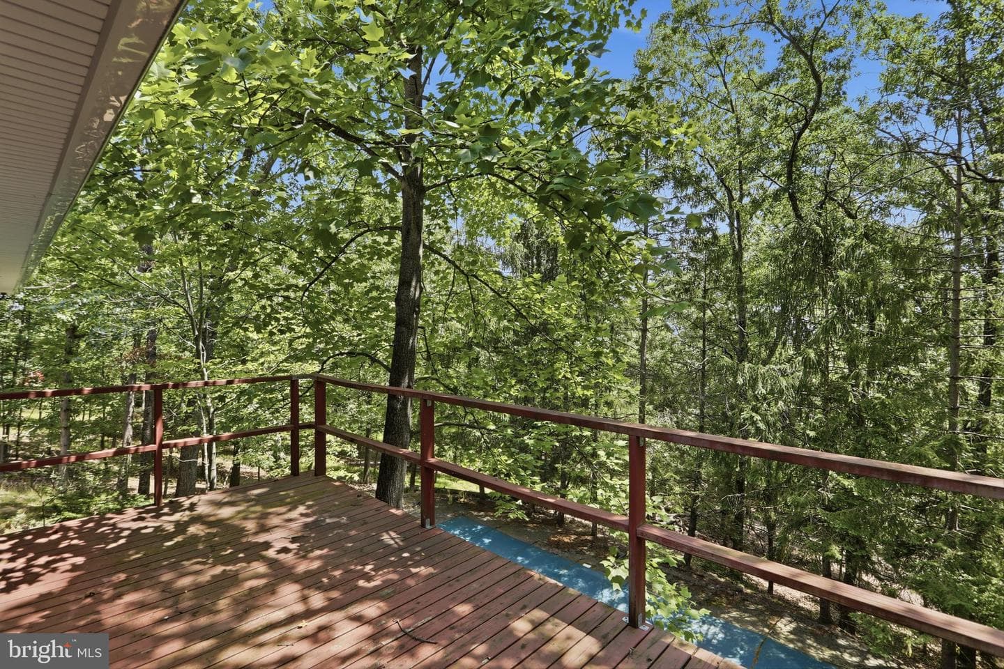 935 Dingle Park Drive photo 42
