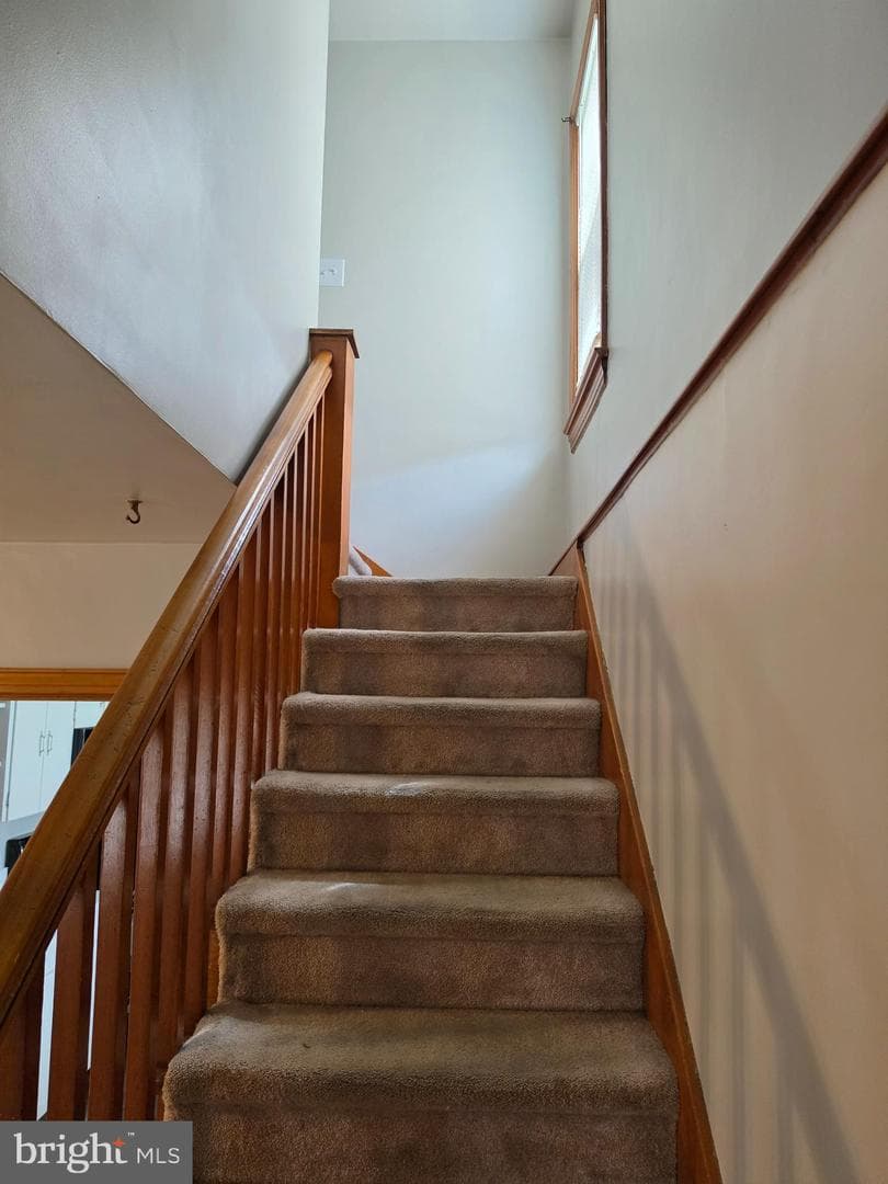512 Forester Avenue photo 16