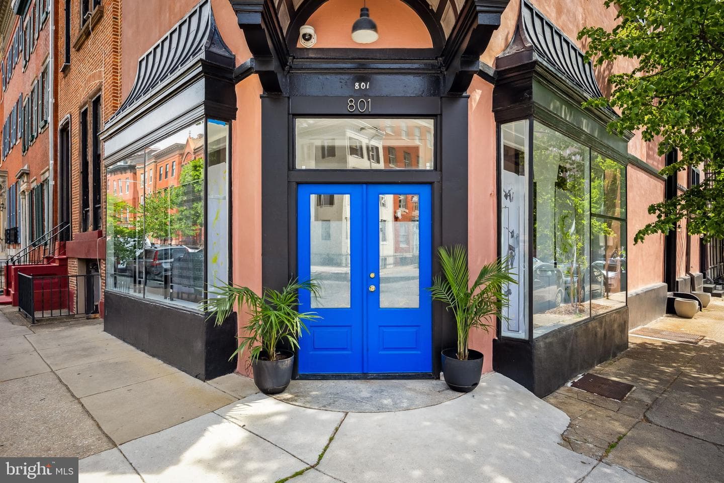 801 Park Avenue photo 66