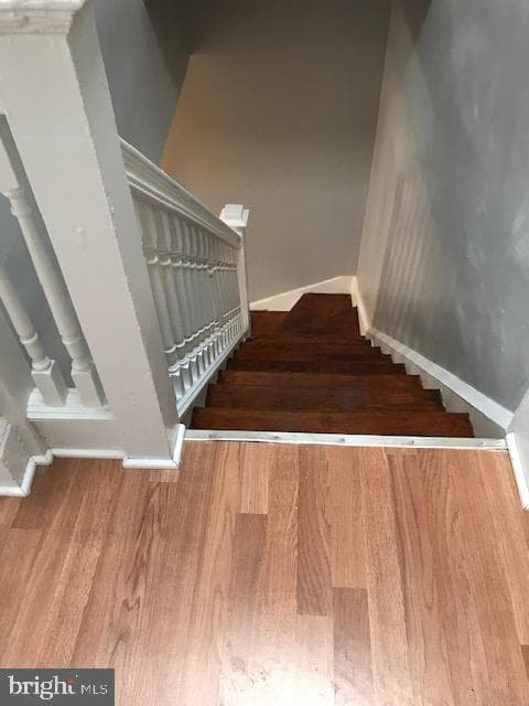 2917 Belmont Avenue photo 28
