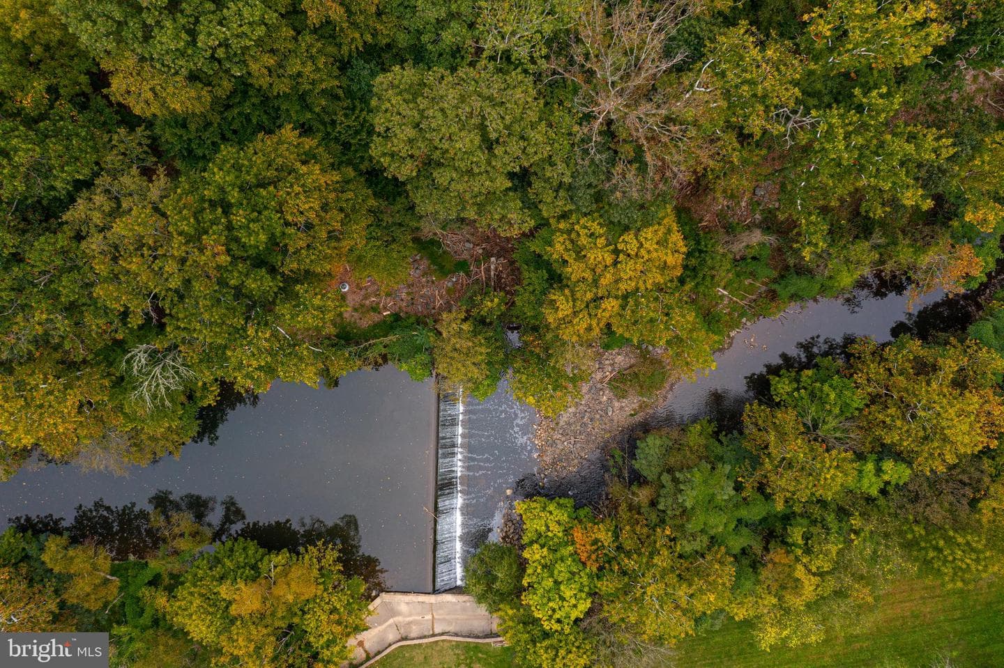 2423 Pickwick Road photo 10