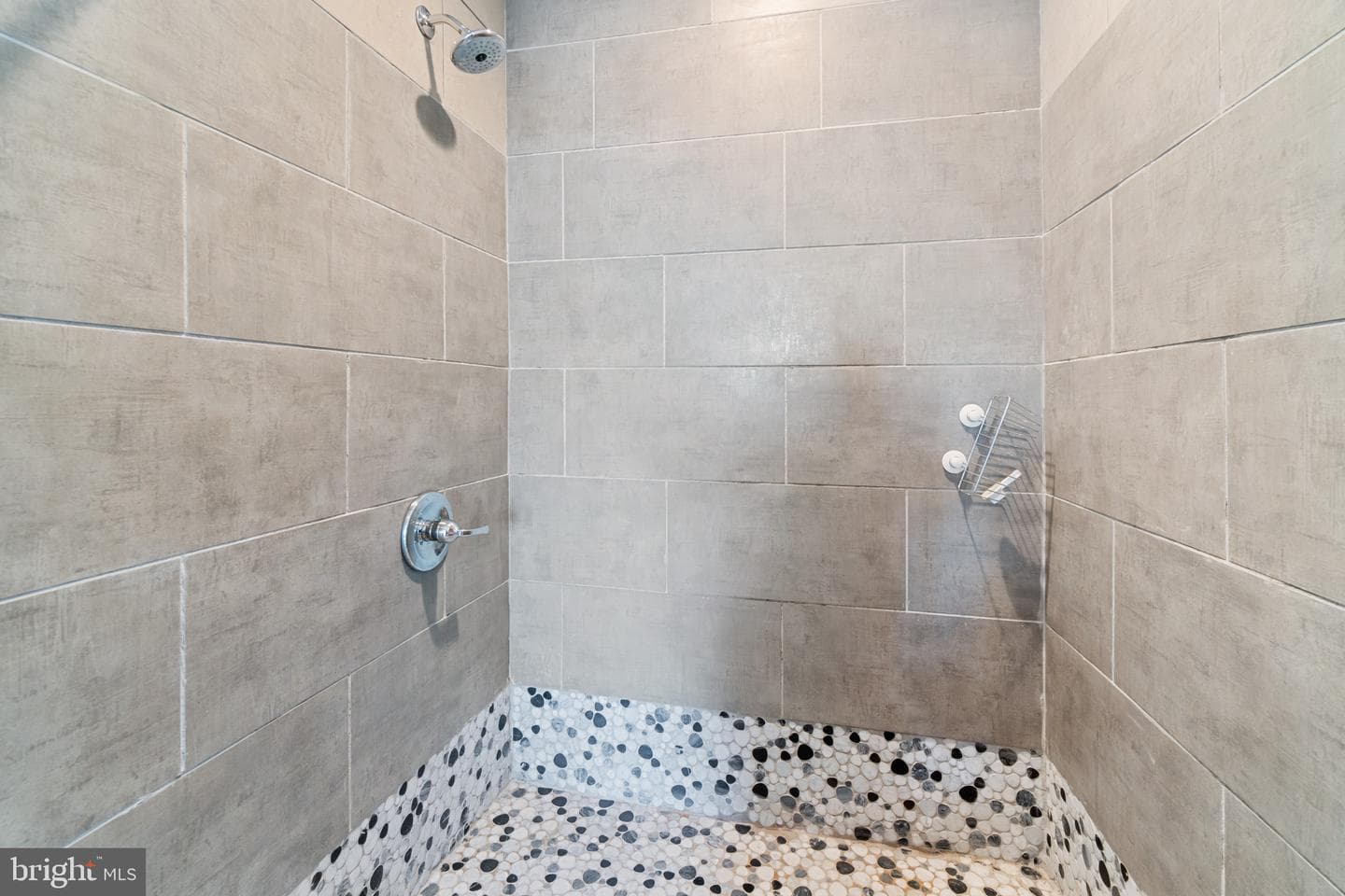 2538 E Eager Street photo 23