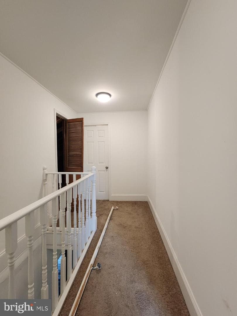 5107 Midwood Avenue photo 23