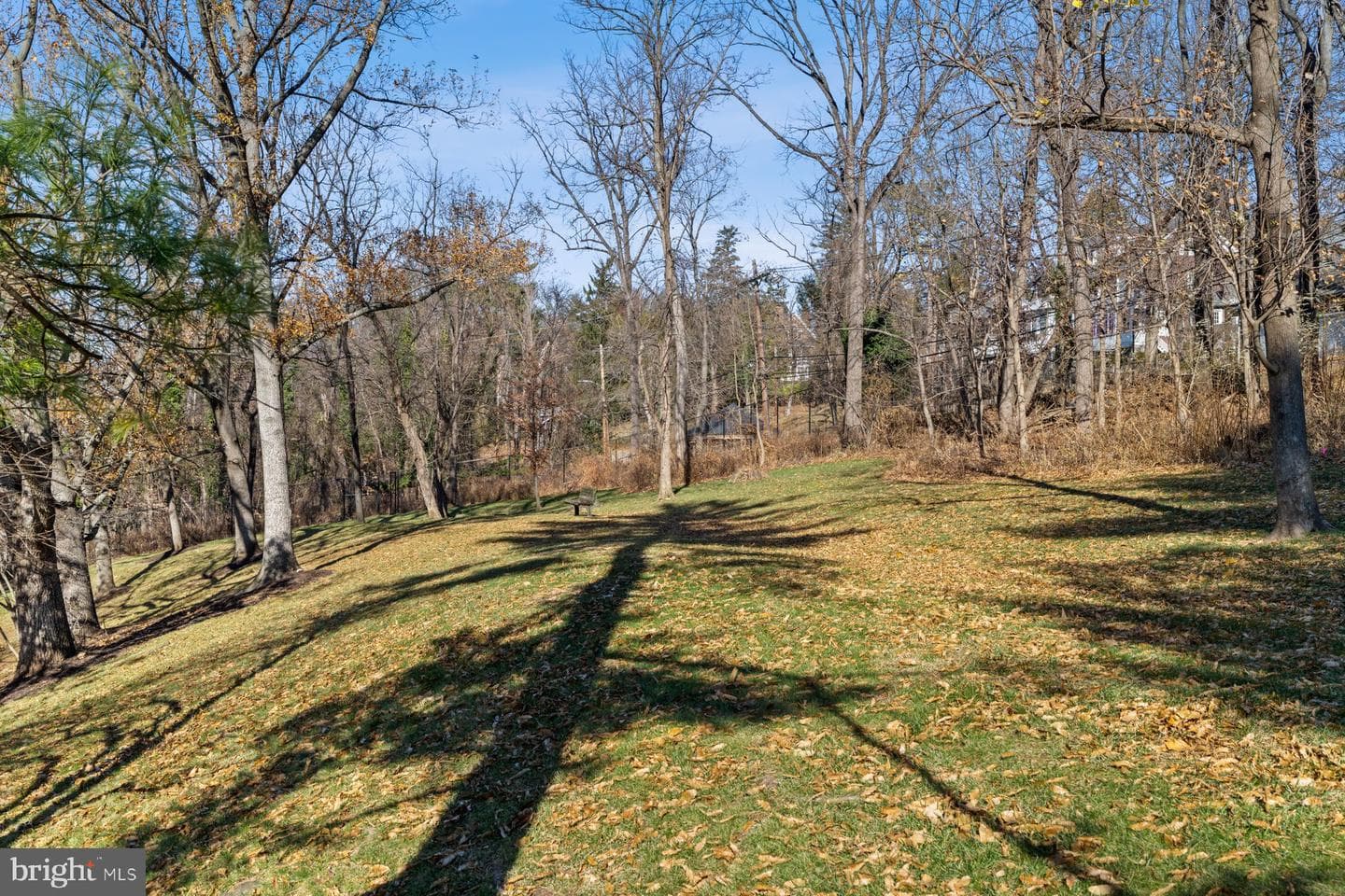 1040 Deer Ridge Dr # 402 photo 33