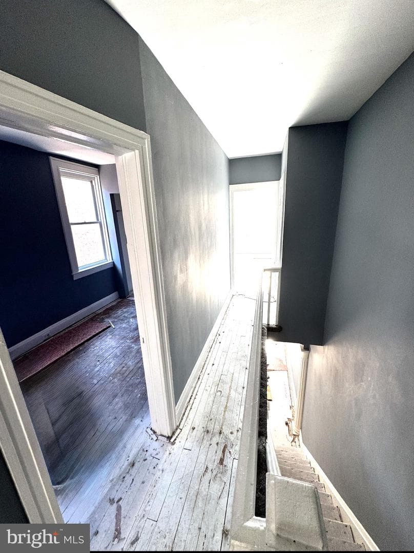 2624 Mura Street photo 17