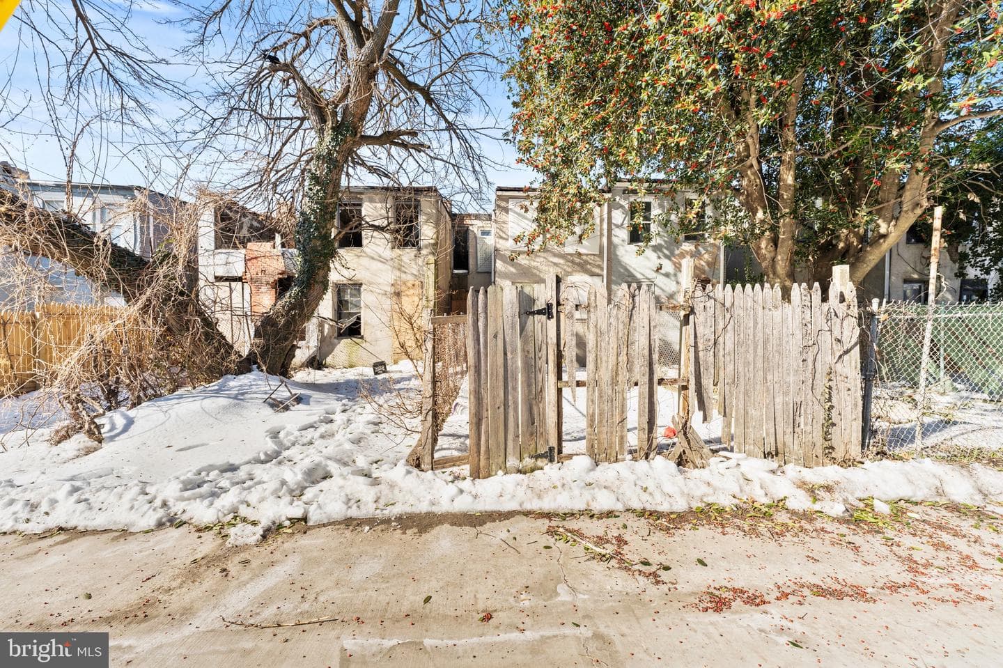 1109 N Carrollton Avenue photo 15