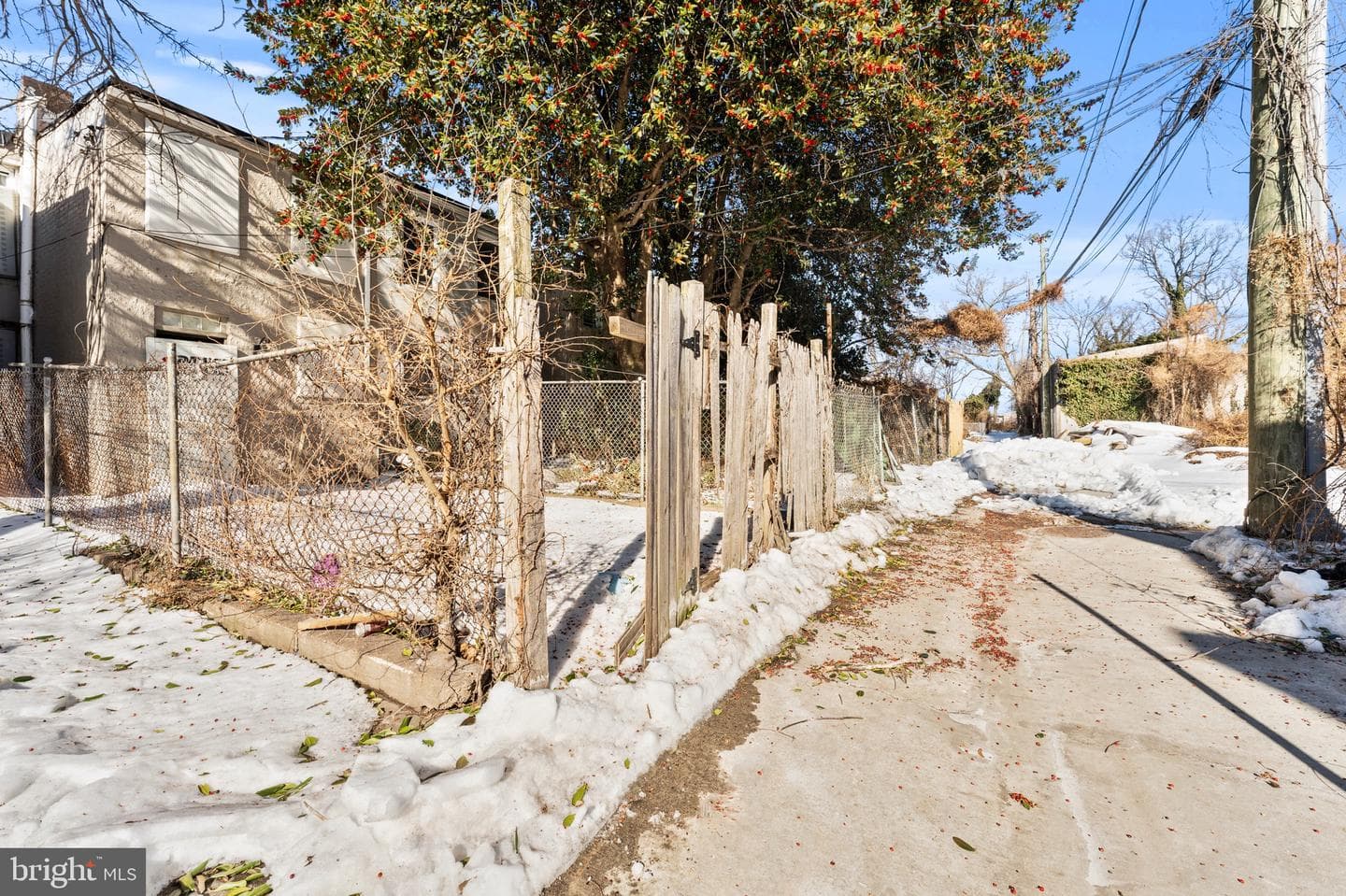1109 N Carrollton Avenue photo 16