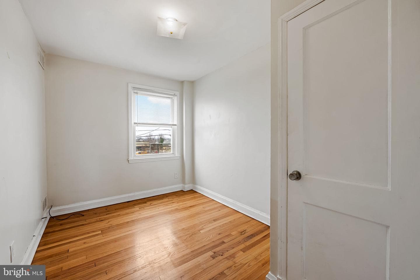 3517 Elmora Avenue photo 15