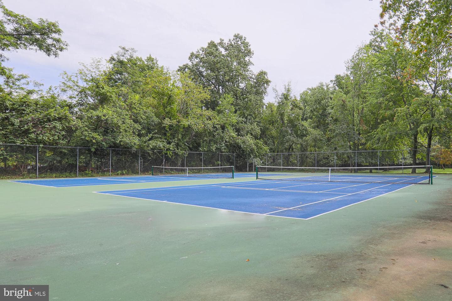 3041 Fallstaff Road #405d photo 5