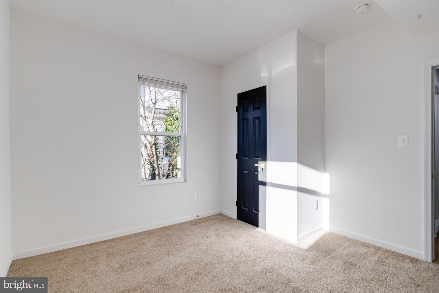 5805 Highgate Drive photo 31