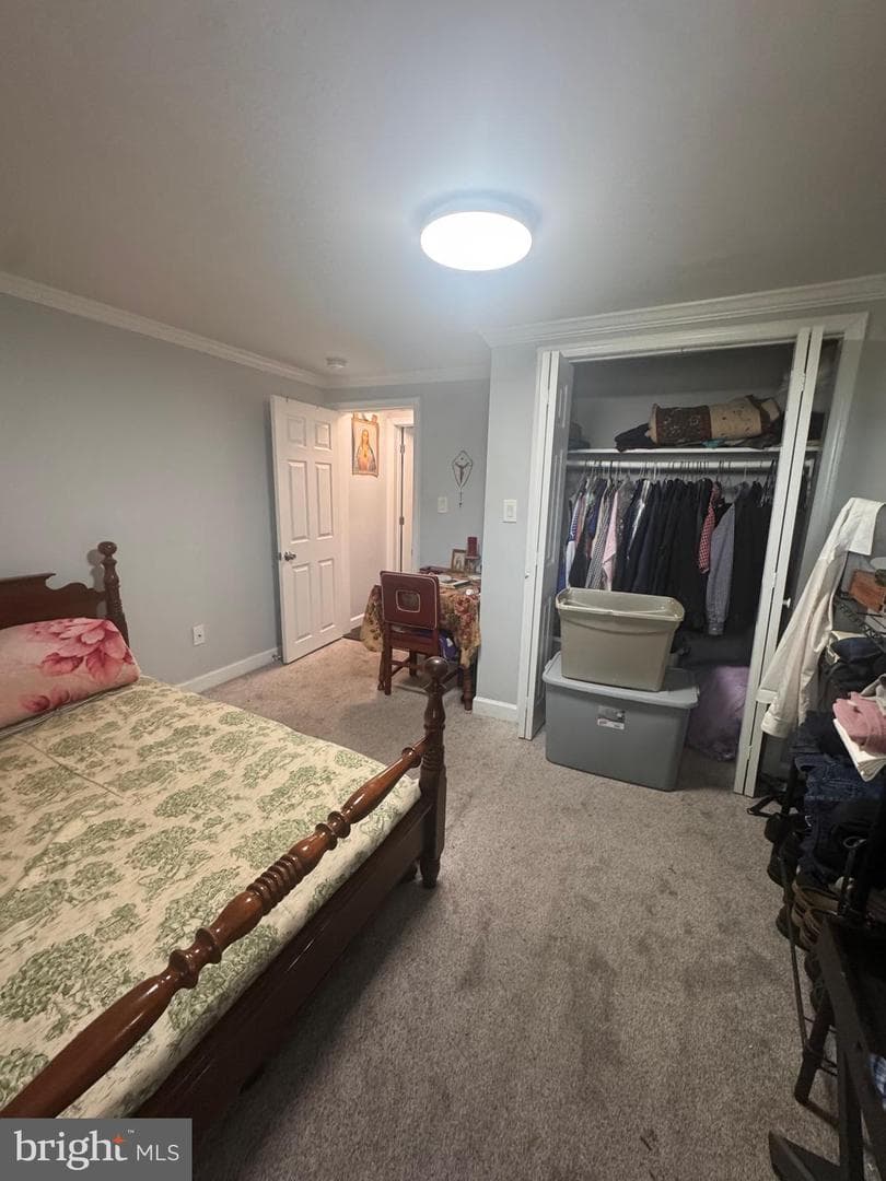 424 Freeman Street photo 16