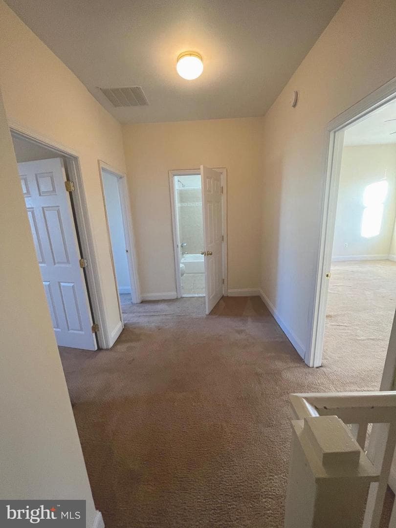 1634 Chilton Street photo 8