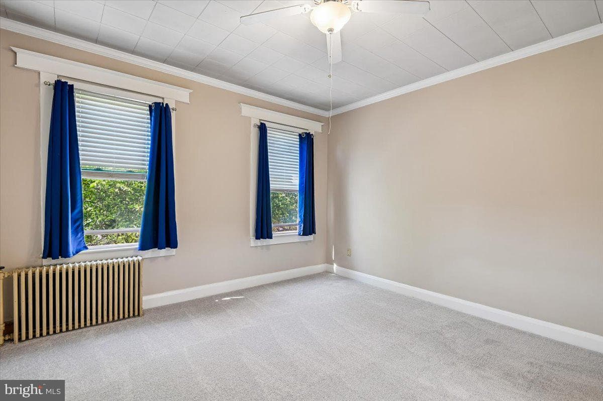 3720 Foster Avenue photo 18