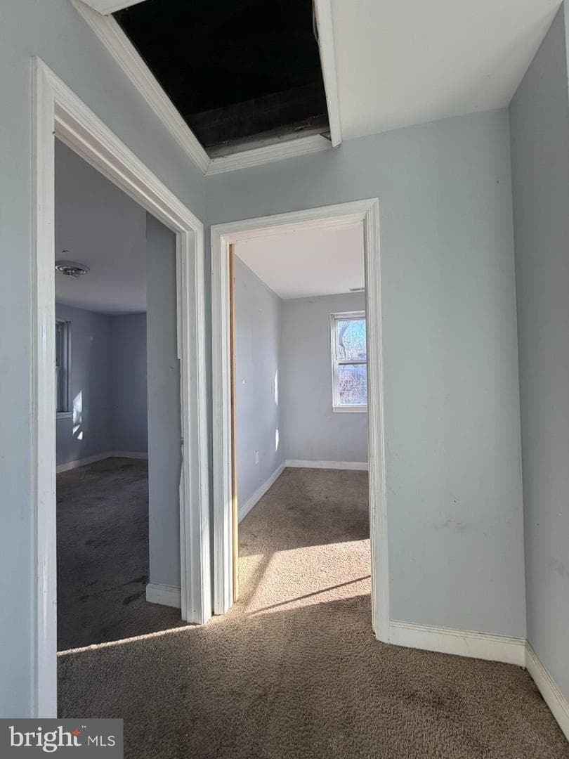3830 Brooklyn Avenue photo 17