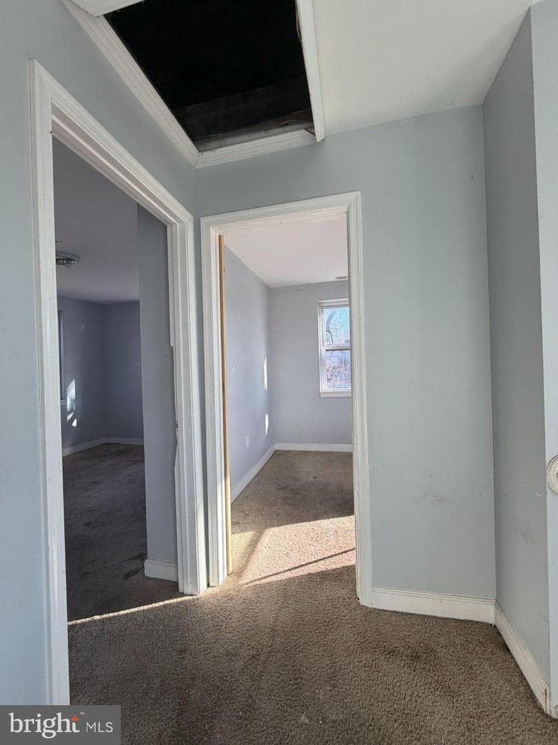 3830 Brooklyn Avenue photo 18